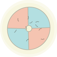 quad assay token